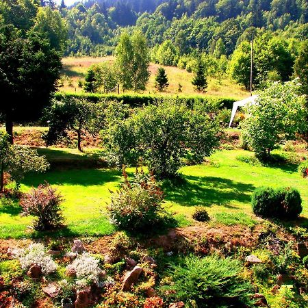 Agroturystyka Gluszyca Lomnica Lomnica  Exteriör bild