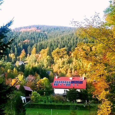 Agroturystyka Gluszyca Lomnica Lomnica  Exteriör bild