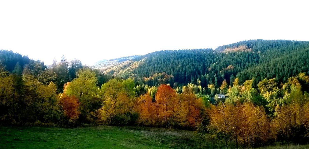 Agroturystyka Gluszyca Lomnica Lomnica  Exteriör bild