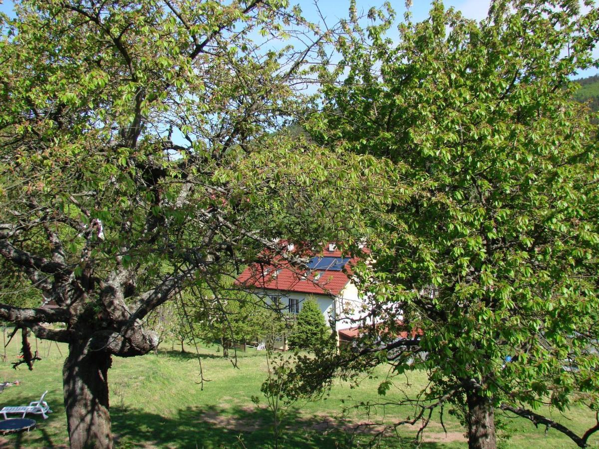 Agroturystyka Gluszyca Lomnica Lomnica  Exteriör bild